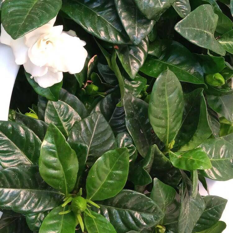 Foto de perfil de Paula