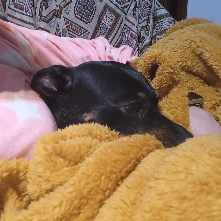 Foto de perfil de Catalina