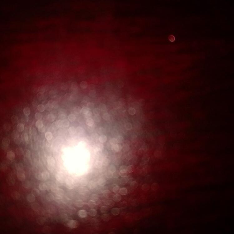 Foto de perfil de Belly