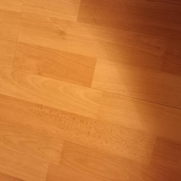 Foto de perfil de Isabel