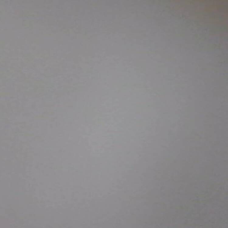 Foto de perfil de Biel Jaume
