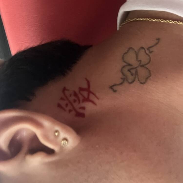 Foto de perfil de Stiven