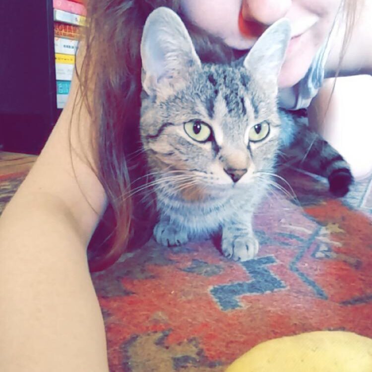 Foto de perfil de rosetinram