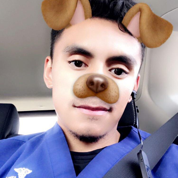 Foto de perfil de pulga1298
