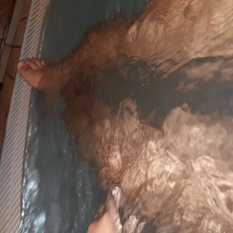 Foto de perfil de Adam muñoz