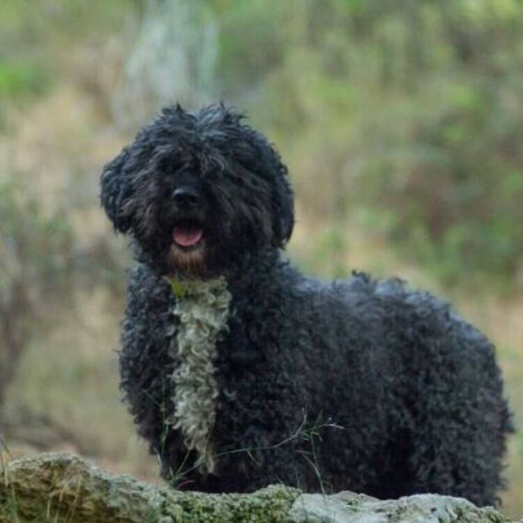 Foto de perfil de AD