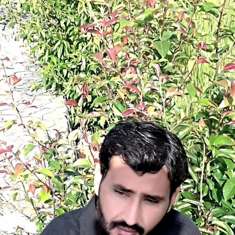 Foto de perfil de Umar kpk