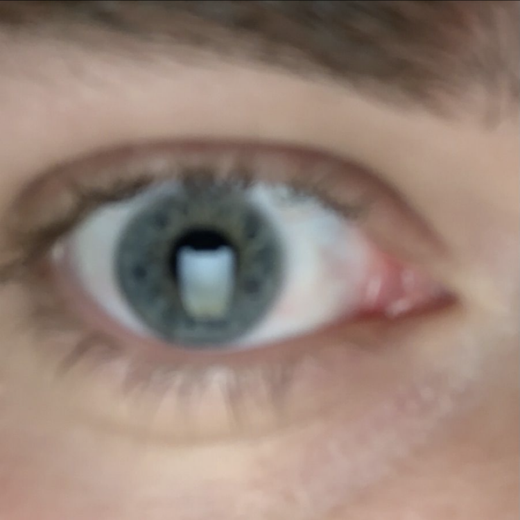 Foto de perfil de Reed