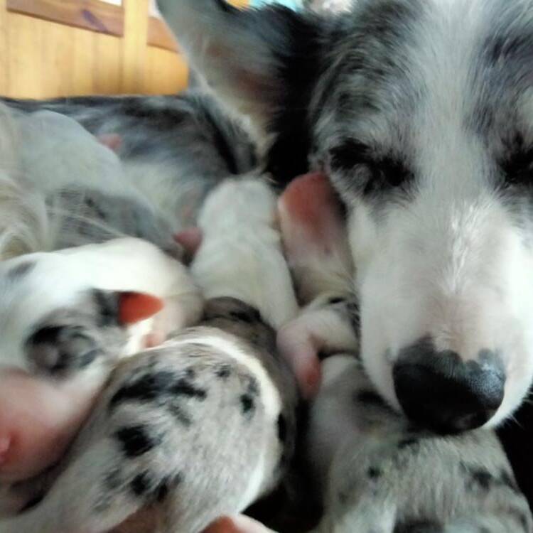 Foto de perfil de Javier