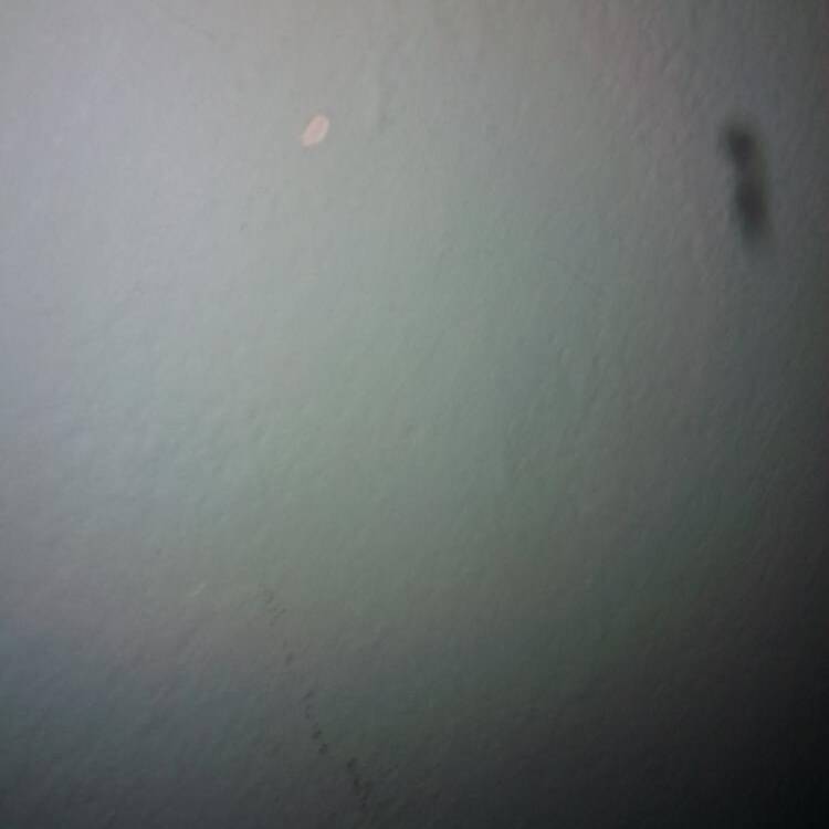 Foto de perfil de jhon