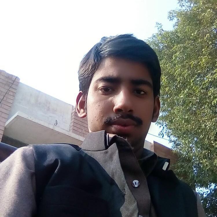 Foto de perfil de Shahid Lashari