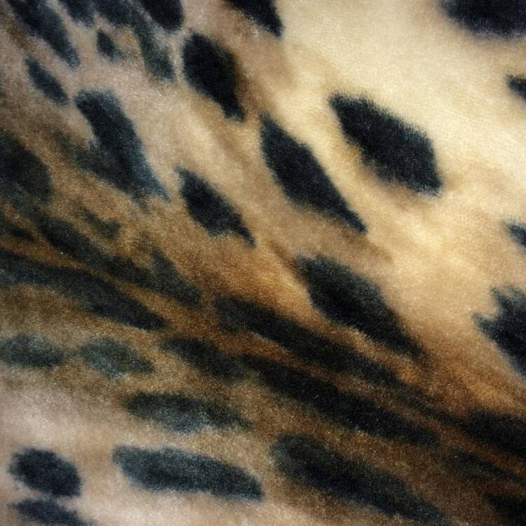 Foto de perfil de Svetlana