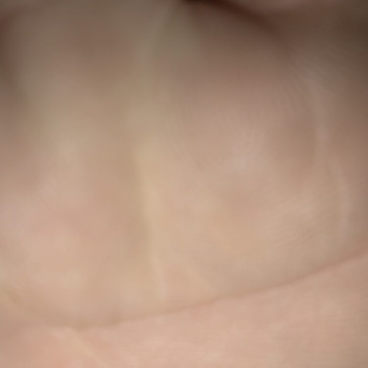 Foto de perfil de Isac