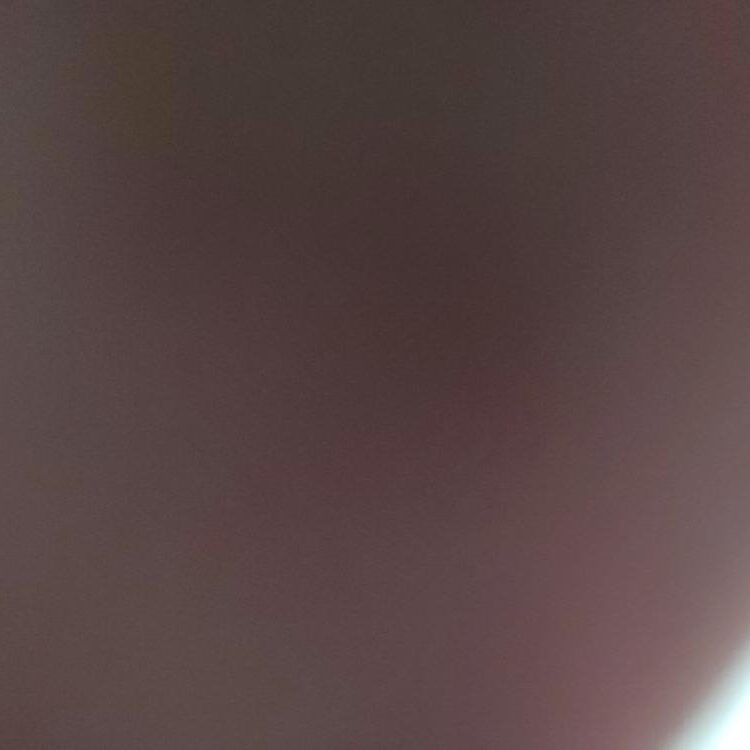 Foto de perfil de Ryan193123