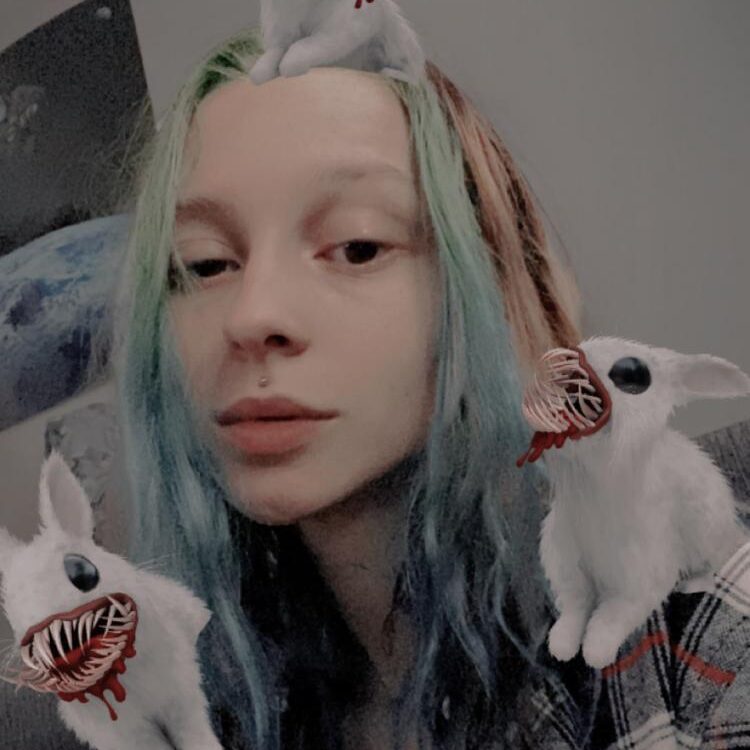 Foto de perfil de fairymoonfox