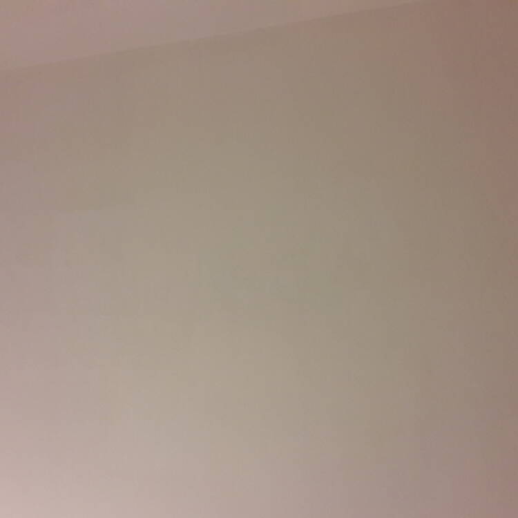 Foto de perfil de Carlos