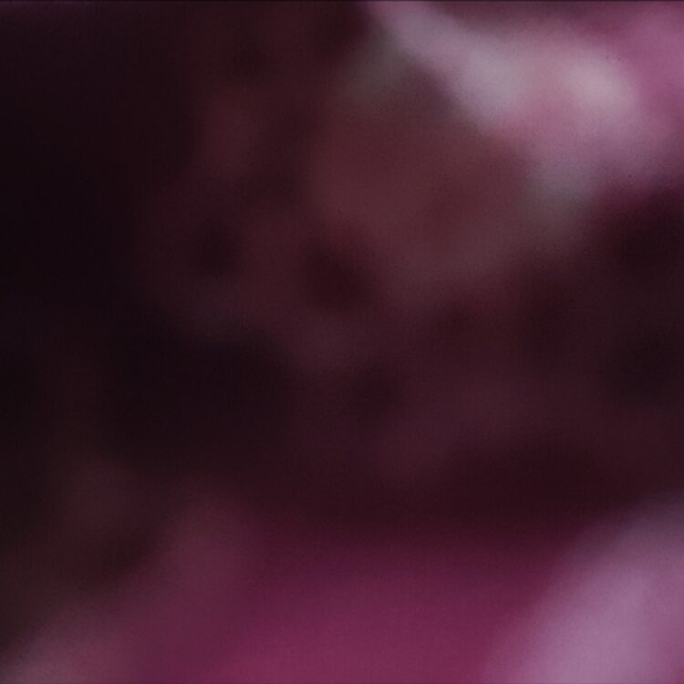 Foto de perfil de Raghav