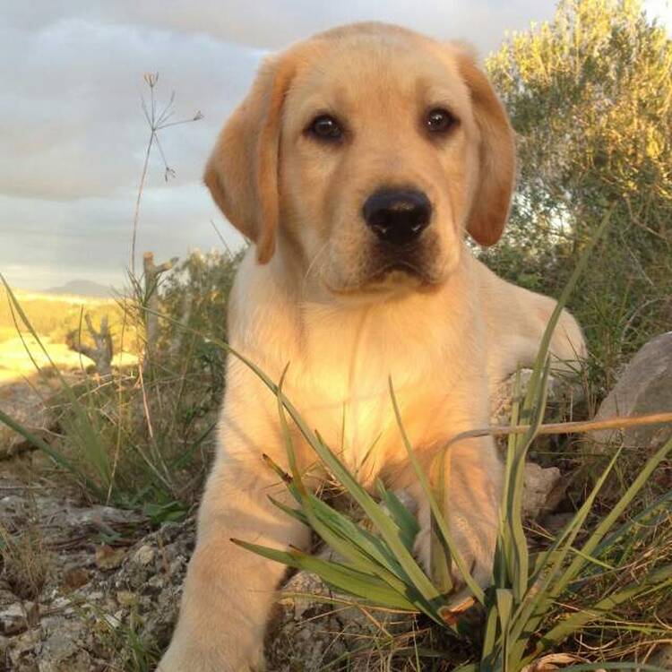 Foto de perfil de juana