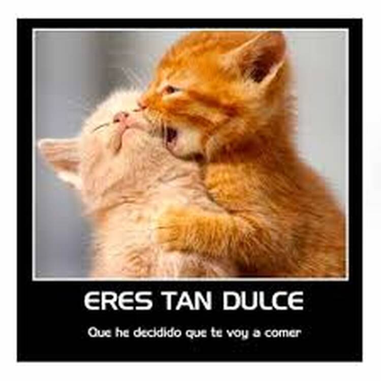 Foto de perfil de Tania