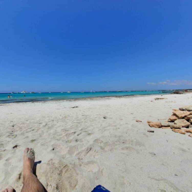 Foto de perfil de Dave