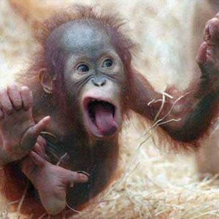 Foto de perfil de Miquel