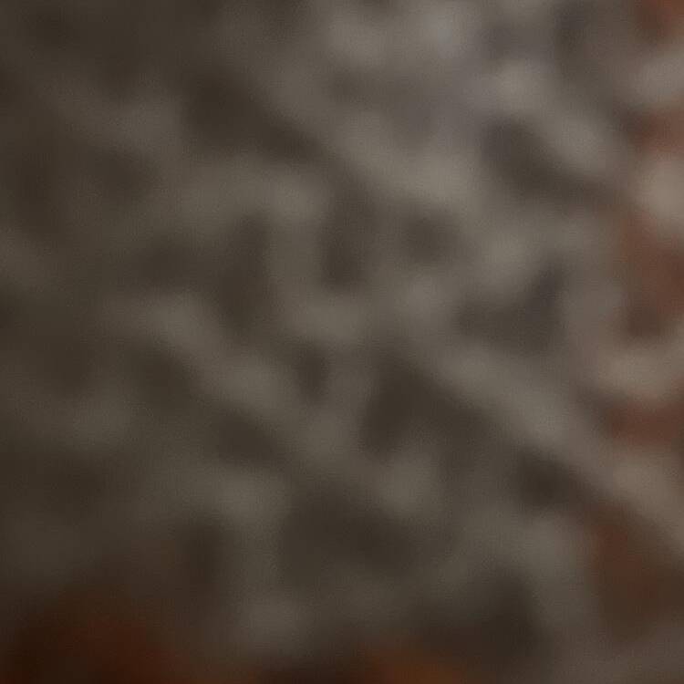 Foto de perfil de Biel