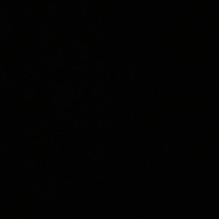 Foto de perfil de Amogus