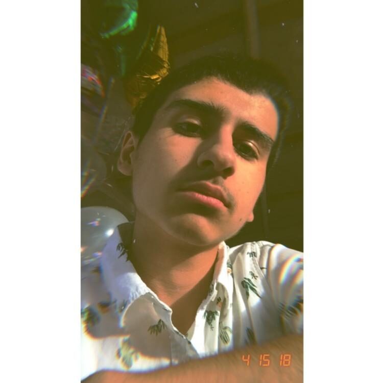 Foto de perfil de ed