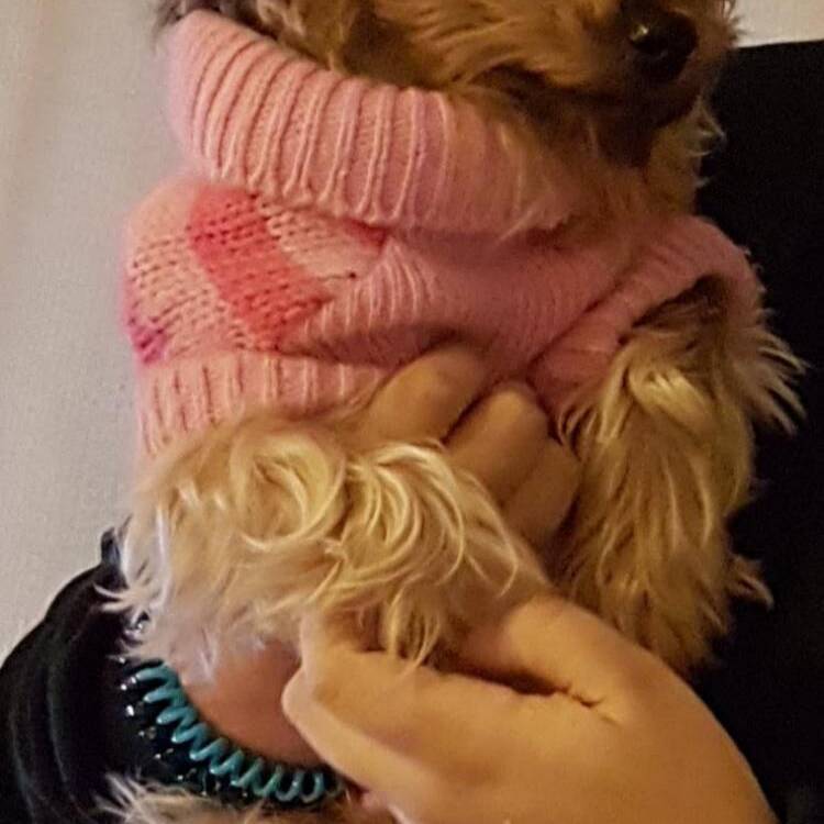 Foto de perfil de Bel