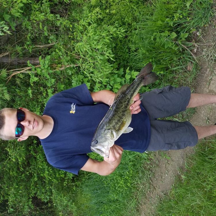 Foto de perfil de Shane Sisk
