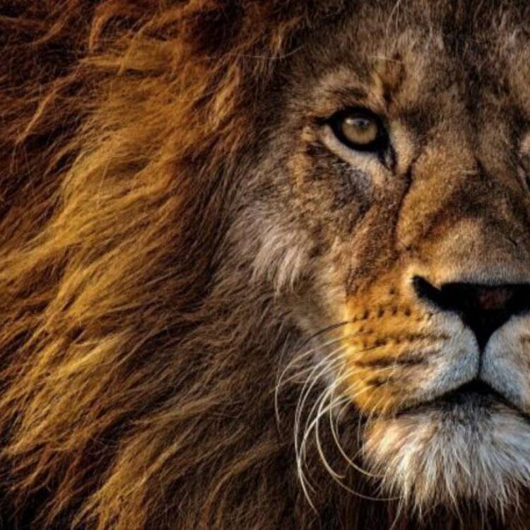 Foto de perfil de RENATO