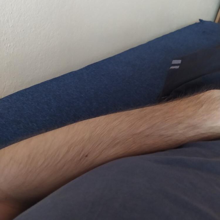 Foto de perfil de Dera