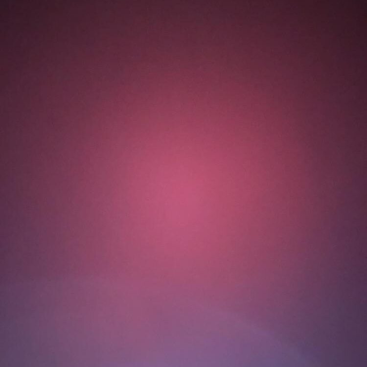 Foto de perfil de Danne