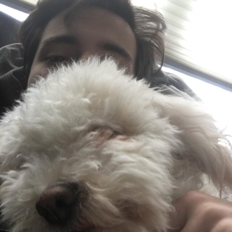 Foto de perfil de Am20002