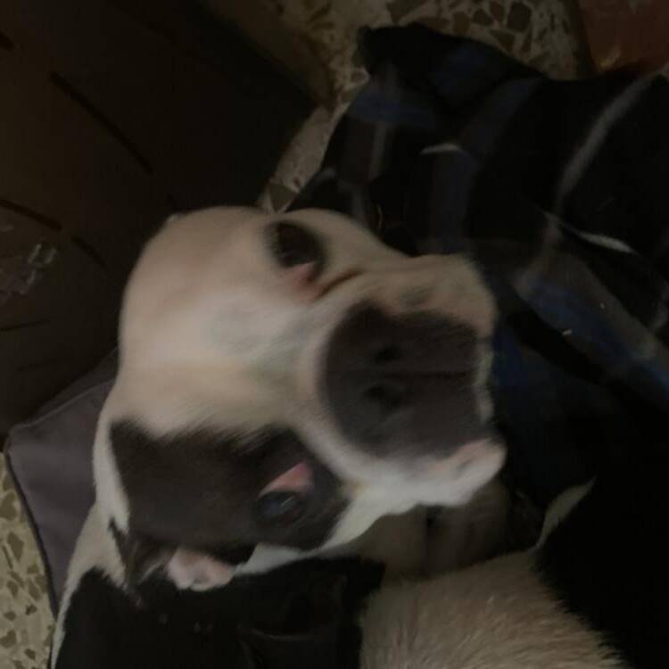 Foto de perfil de Marga