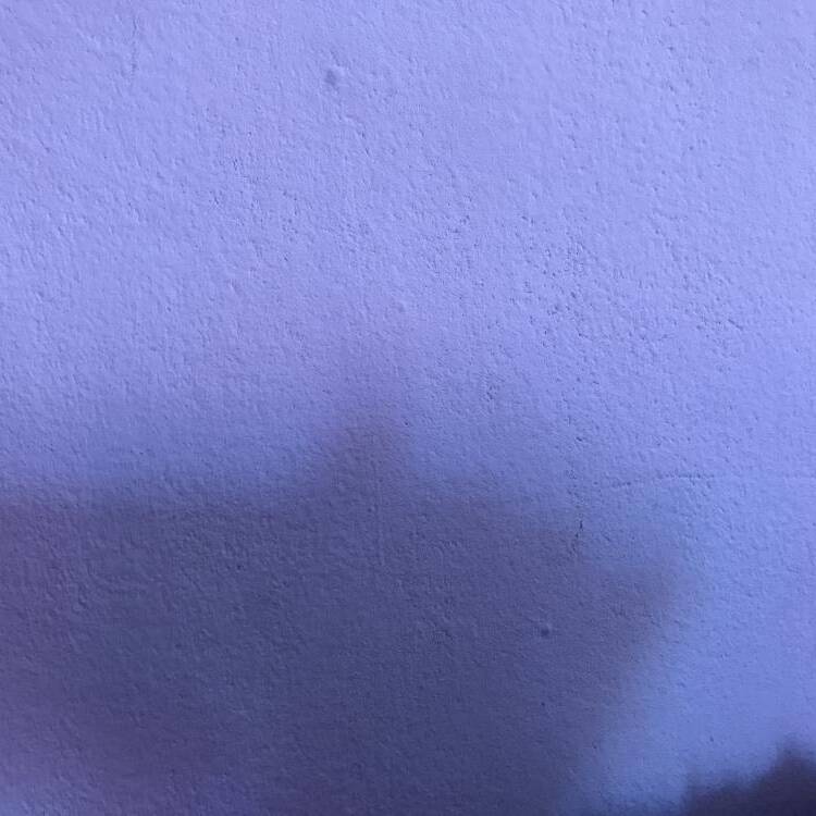 Foto de perfil de Enanoo19