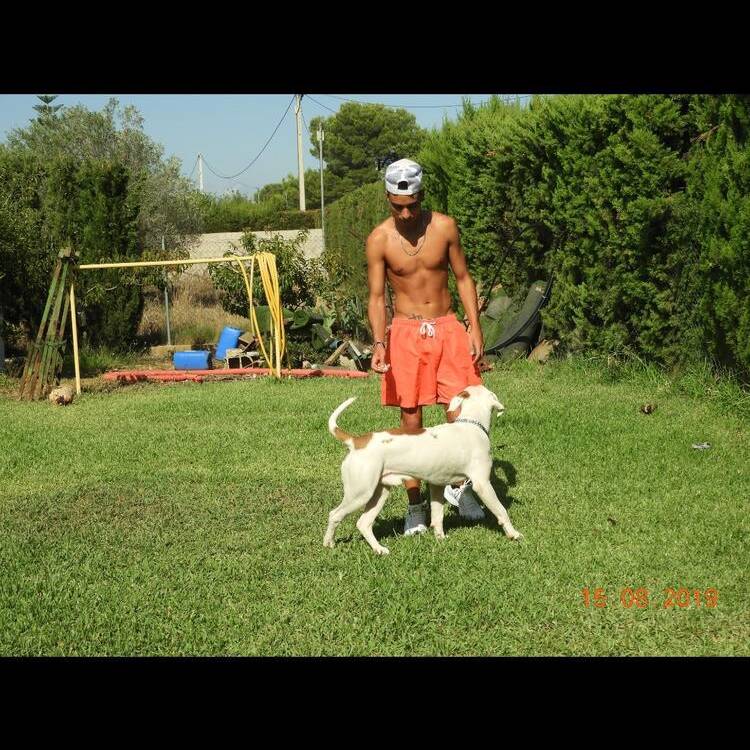 Foto de perfil de Eric Vidal