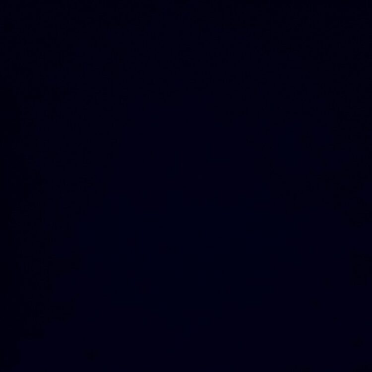 Foto de perfil de Tim