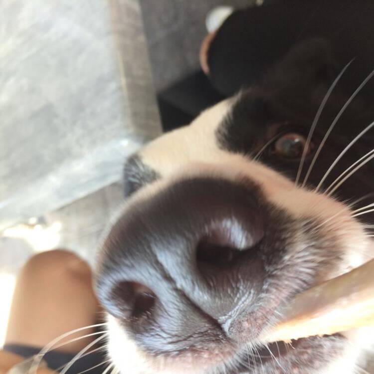 Foto de perfil de Joseph
