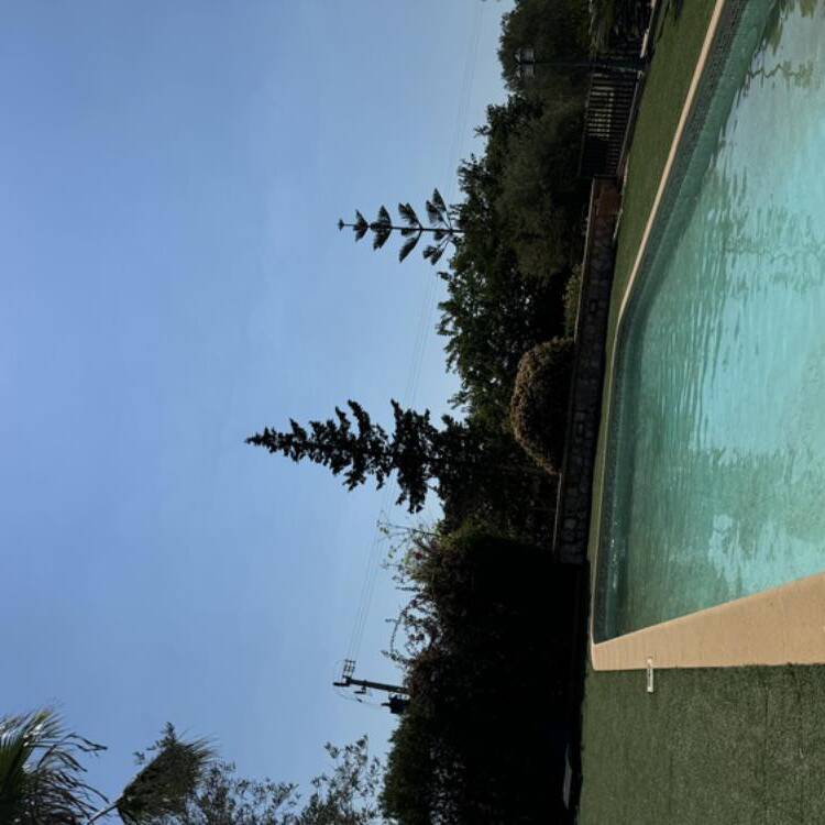 Foto de perfil de Toni