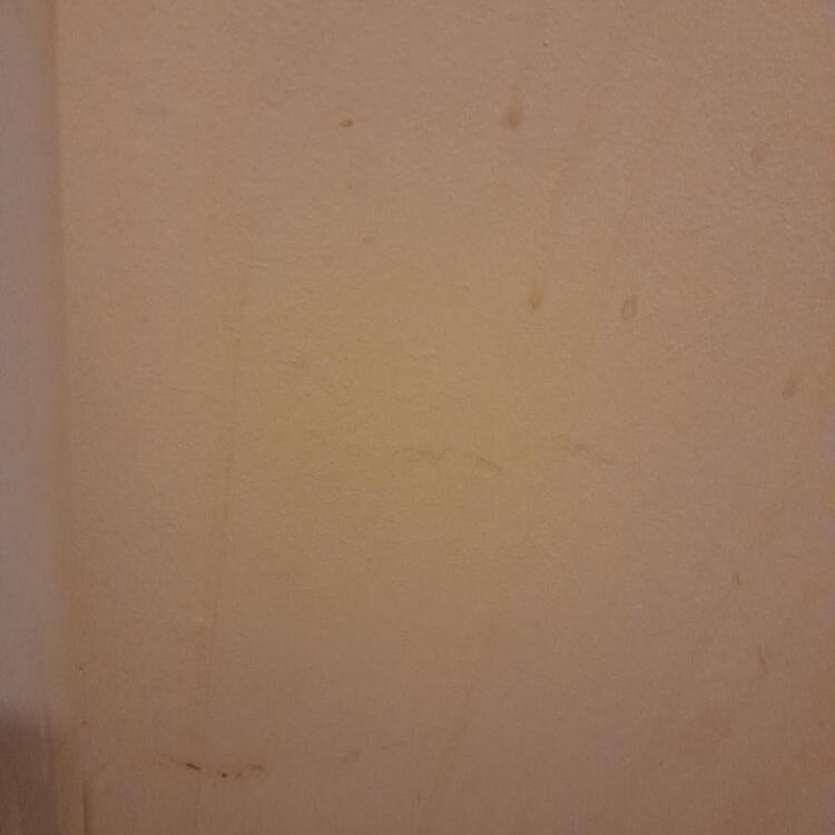 Foto de perfil de Garry
