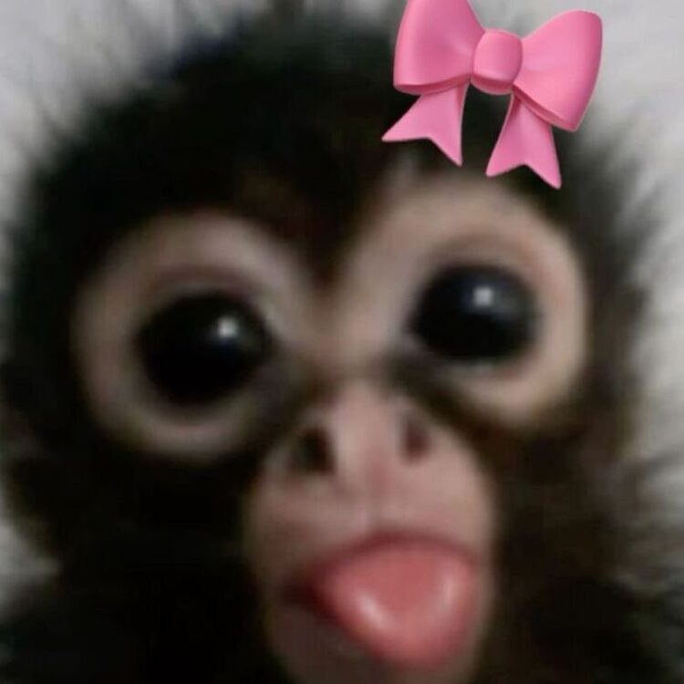 Foto de perfil de Amee