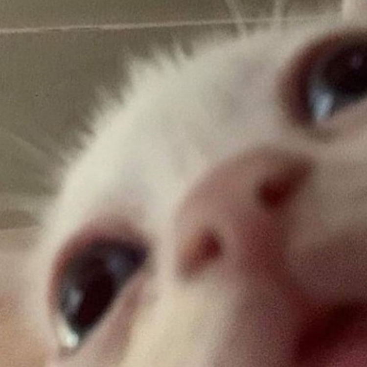 Foto de perfil de Boredasf213