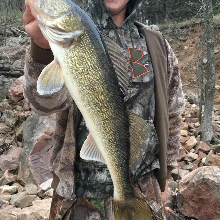 Foto de perfil de Walleye23