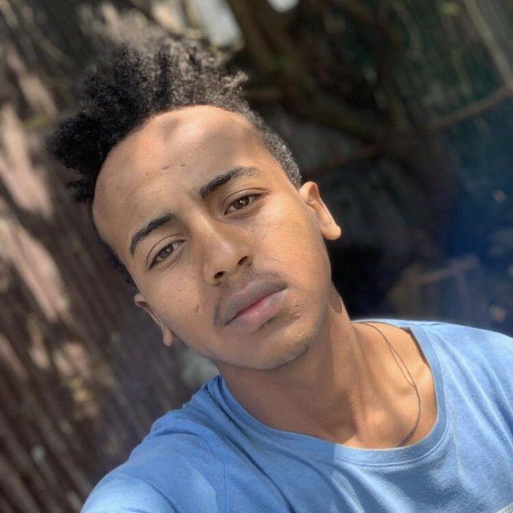 Foto de perfil de Leul