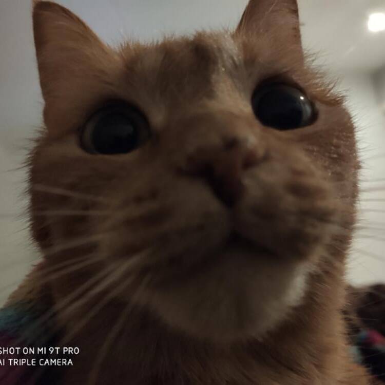Foto de perfil de Paco