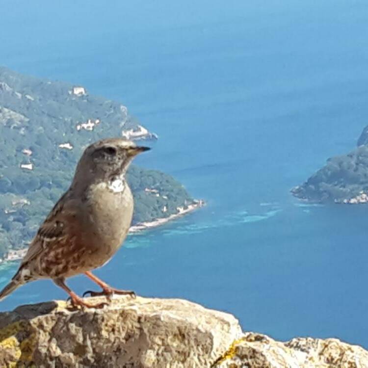 Foto de perfil de Cristina