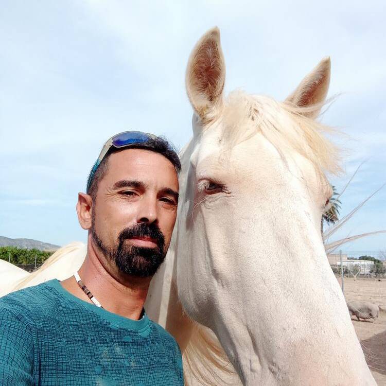 Foto de perfil de Raul