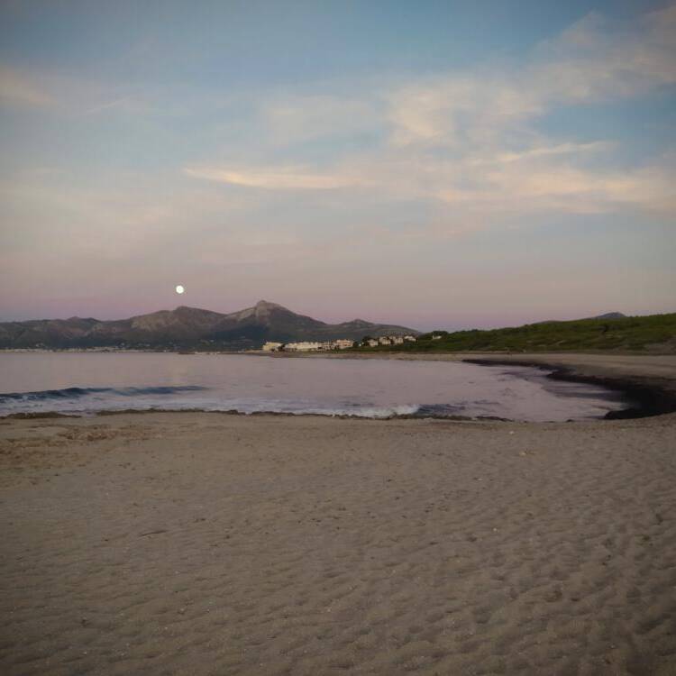 Foto de perfil de Saraku