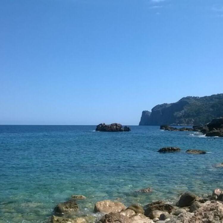 Foto de perfil de Peixet